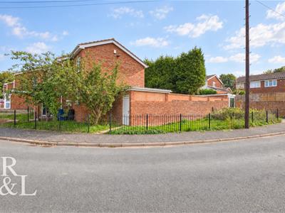 Picture 27